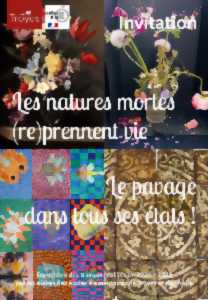 photo Exposition - Les natures mortes (re)prennent vie / Le pavage dans tous ses états !