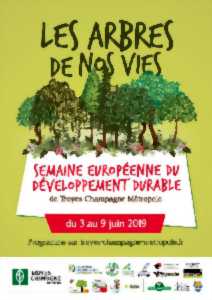 photo Exposition 