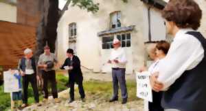 photo Visite spectacle : Dans les coulisses de la révolte des vignerons