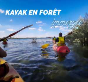 photo Balade Kayak en forêt immergée