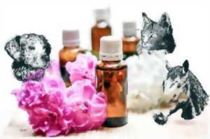 photo L'aromathérapie pour vous et vos animaux