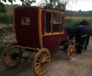 photo Visite commentée en calèche - Racontez-moi Napoléon à Brienne