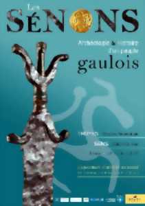 photo Exposition - Les Sénons. Archéologie et histoire d’un peuple gaulois