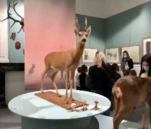 photo Visite intergénérationnelle « Promène-toi avec Bambi » avec atelier créatif pour Noël