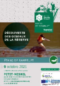 photo Découverte des Oiseaux de la Réserve