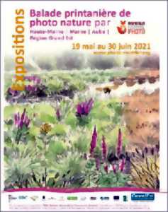 photo Exposition - Balade printanière de photo nature