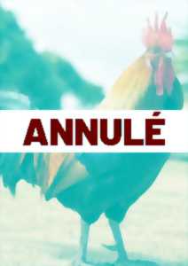 photo Exposition Avicole
