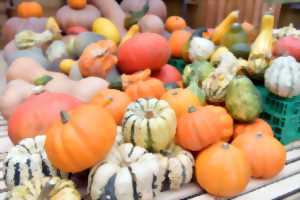 photo Marché traditionnel