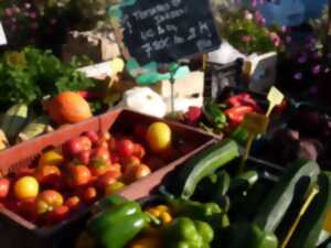 photo Marché éco-responsable et pêcheurs