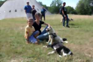 photo Journées des chiens-loups