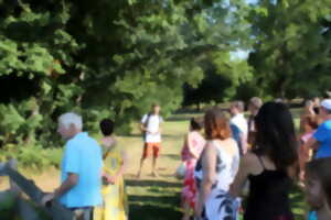 photo Nuit de la chauve-souris