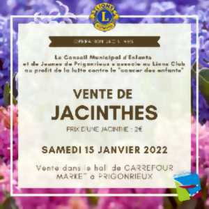 photo Vente caritative de Jacinthes