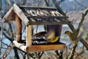 Construction d'une mangeoire à oiseau  à Terres d'oiseaux