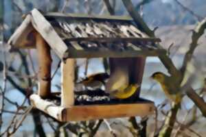photo Construction d'une mangeoire à oiseaux  à Terres d'oiseaux