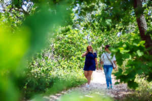 photo Balade commentée sur les mystères de Saint Brice - Mars