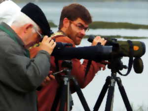 photo Journées mondiales des zones humides - Comptage d'oiseaux