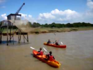 photo Sortie en kayak de mer sur l'Estuaire