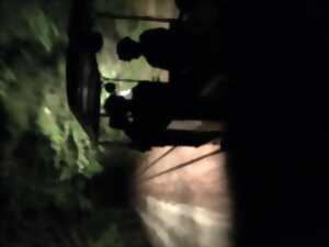 photo Train spectacle du crépuscule