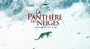 photo CINÉCO : LA PANTHÈRE DES NEIGES