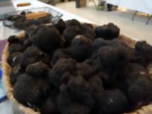 photo Marché aux truffes contrôlés de Sorges-et-Ligueux en Périgord