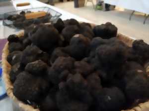 Marché aux truffes contrôlés de Sorges-et-Ligueux en Périgord