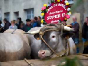 photo Fête des Boeufs Gras de Bazas