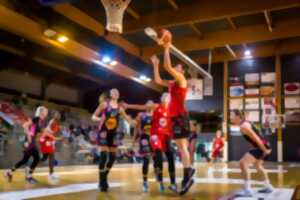 photo Match de basket : US Orthez vs Feytiat Basket