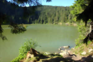 Club Vosgien : Le circuit des deux lacs