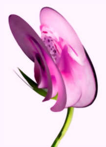 photo Visite guidée Métamorphoses du vivant !