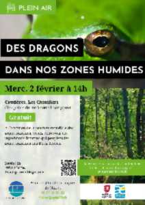 photo ANIMATION NATURE - DES DRAGONS DANS NOS ZONES HUMIDES