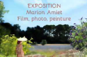 Film, peinture, photographie par Marion Amiet