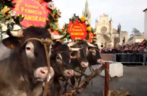 photo Fête des Boeufs Gras de Bazas