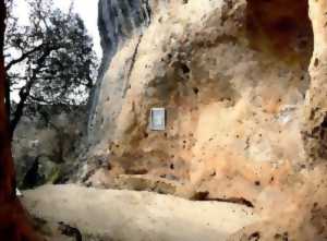 photo Visite approfondie de la Grotte de Font de Gaume