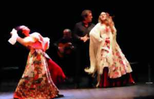 photo Spectacle : Carmen Flamenco