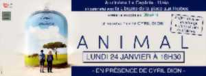 Rencontre / projection - Animal