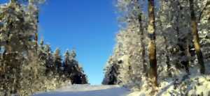 photo Randonnée guidée en raquette à neige