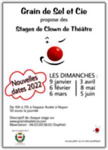 Stages de clown de théâtre pour Adultes