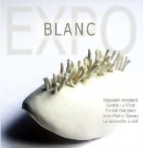 photo Exposition Blanc