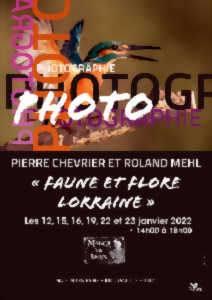 photo EXPOSITION PHOTOS -  FAUNE ET FLORE LORRAINE