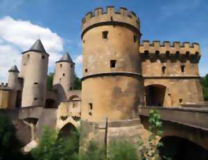 photo EXPOSITION - METZ PATRIMOINE NATUREL... LA NUIT