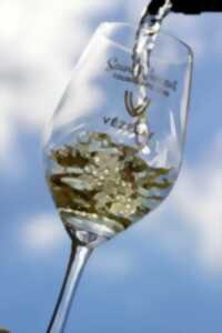 photo Visite -  dégustation à Vézelay