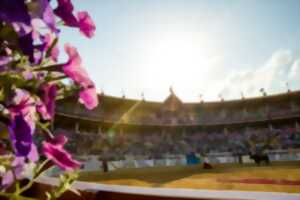 photo Feria de l'atlantique: corrida goyesque bleue