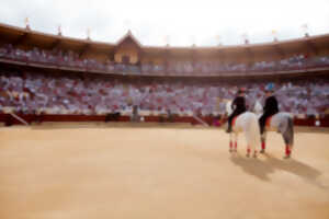 photo Corrida à cheval