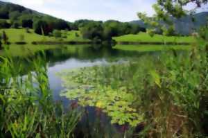 photo Les zones humides et l'eau dans la Double