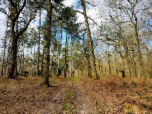 photo La Butte Saint-Christophe par Karuna Nature