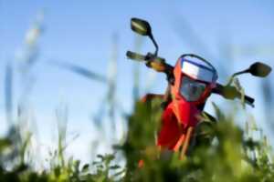 photo Course de quads et de motos sur prairie