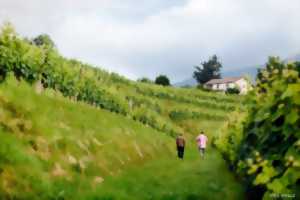 photo Fêtes de village : repas champêtre et bal animé par Edantza