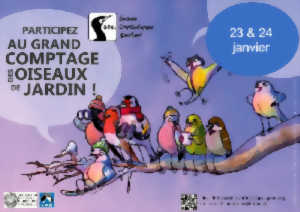 photo Initiation au grand comptage des oiseaux du jardin