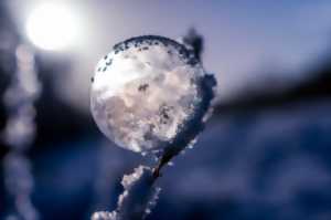 photo Quand l'hiver fait le Carnaval