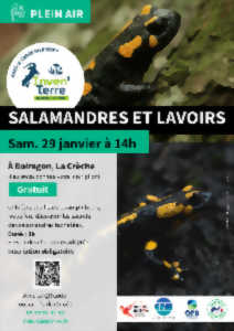 photo Salamandres et lavoirs